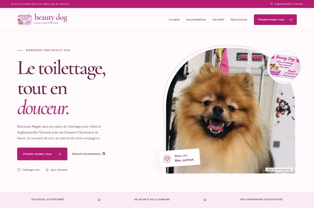 Accueil du vrai site Beauty Dog : typographie élégante, palette rose et photographie de Zadig au salon